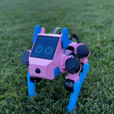 Pupper V3 (Stanford Open Source Robotics Dog) Motor